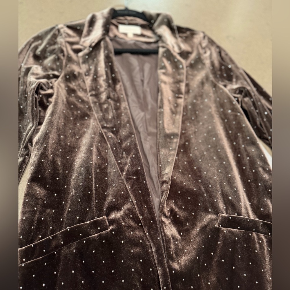 Skies Are Blue Velvet Long Coat with Studded Detail Sz: M - Picture 3 of 12